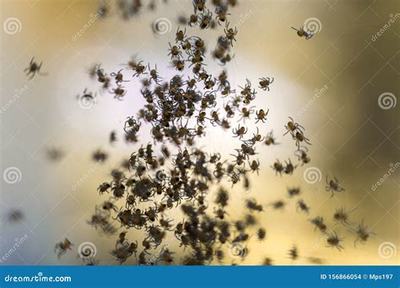 福安熱血封神H5_刀劍萌俠(0.1折版) 助力創(chuàng)業(yè)者騰飛的良機(jī)市場(chǎng)營(yíng)銷策劃